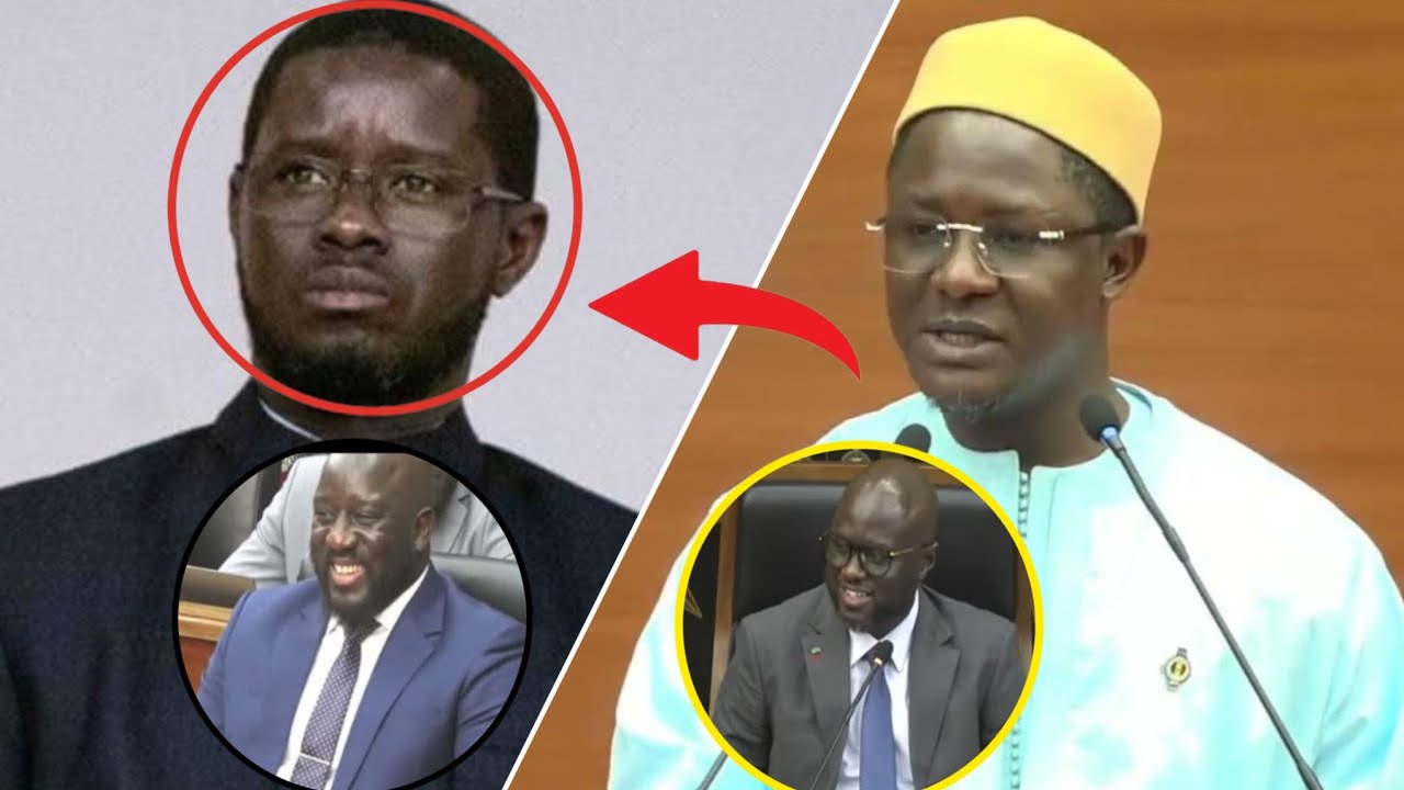 Assemblée : Cheikh Bara avertit  Diomaye et fait rire El Malick et Alioune Sall 