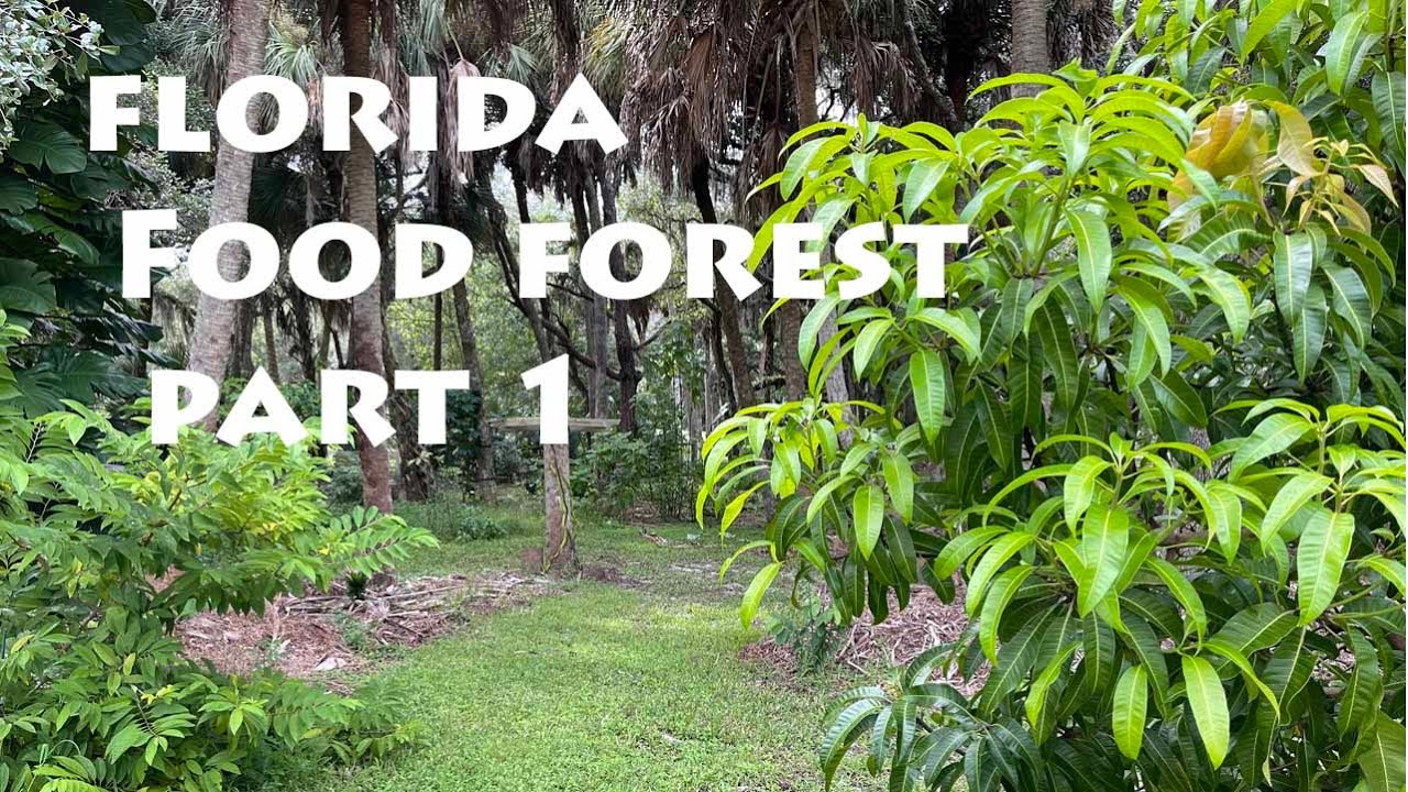 Summer 2021 Florida Food Forest Tour - Part 1