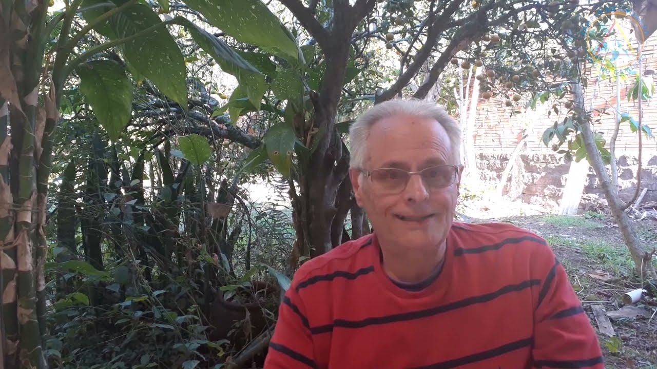 Os ensinamentos esquecidos do Caboclo das Sete Encruzilhadas