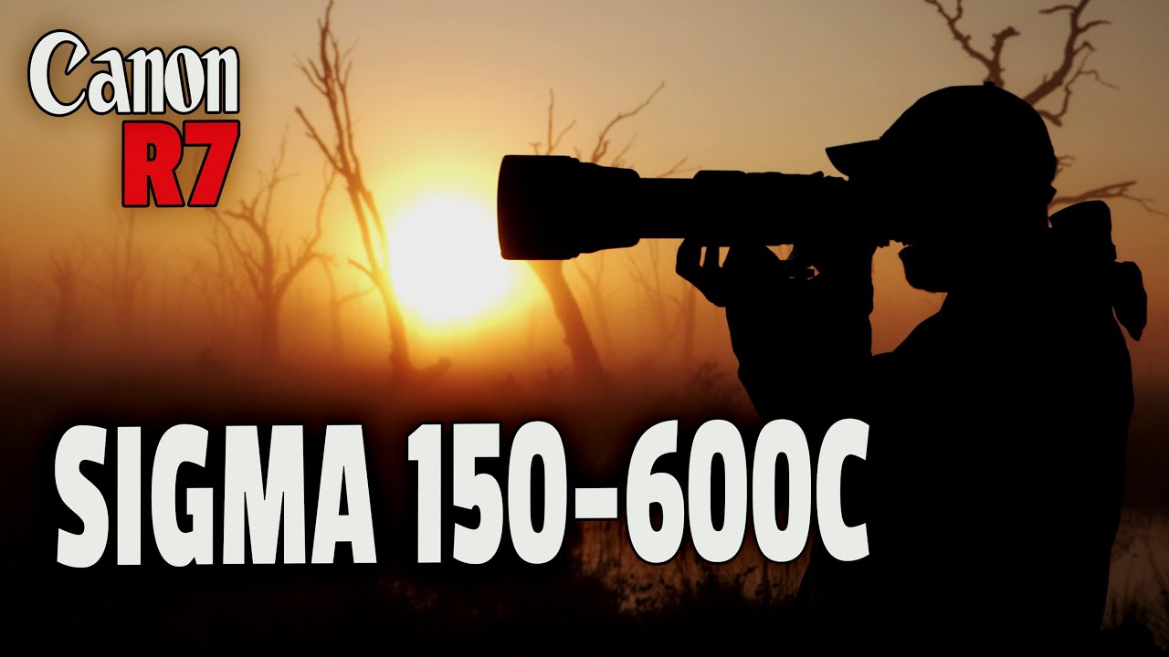 Sigma 150-600mm + Canon R7 = Потрясающее сочетание, но...