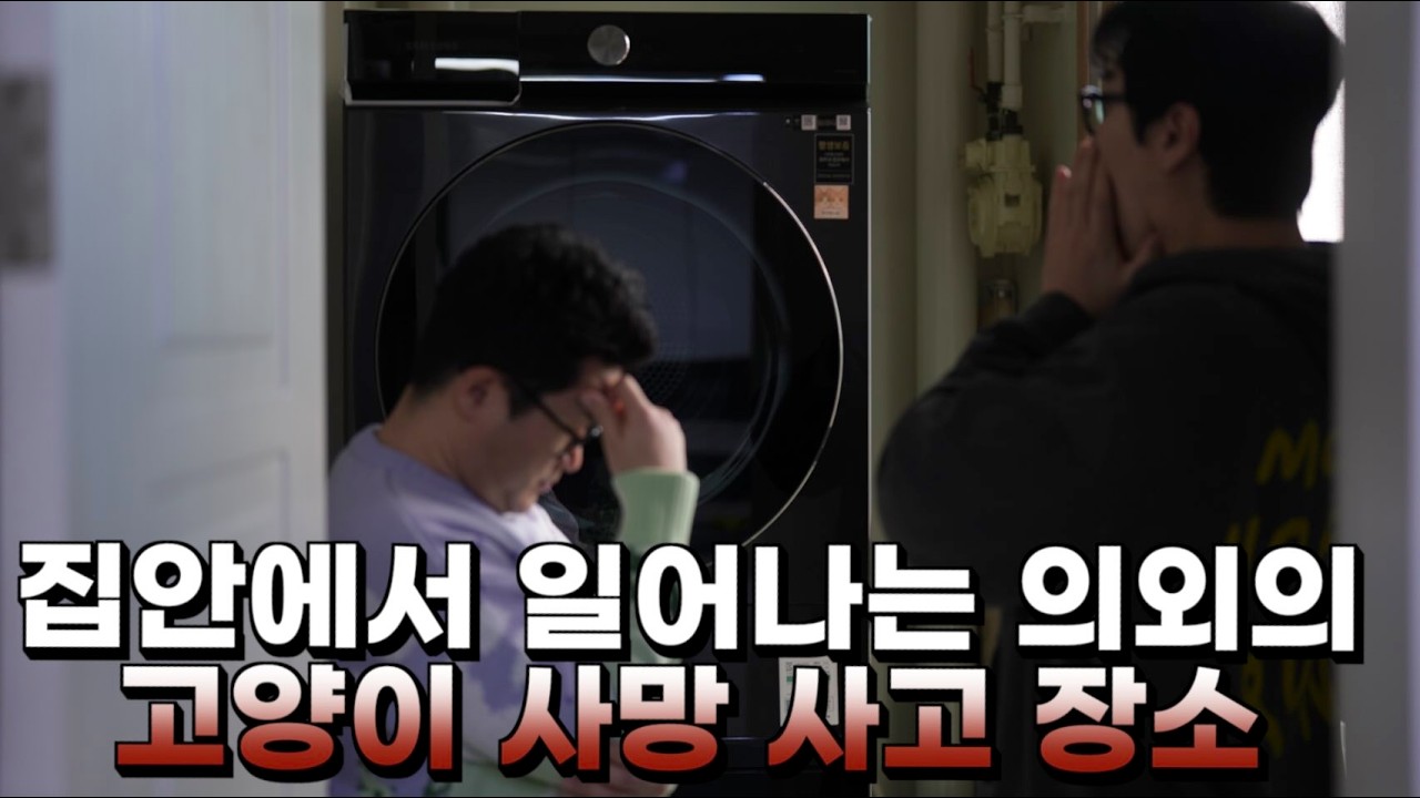매년 반복되는 고양이 집안 사고 장소, 꼭 두번 체크하세요 !!
