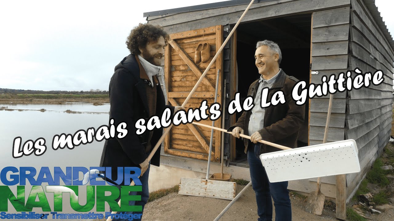 Les marais salants de La Guittière