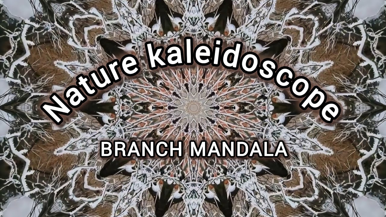 Enchanting Natural Wonders — Watch Till the End to Reveal the Magic