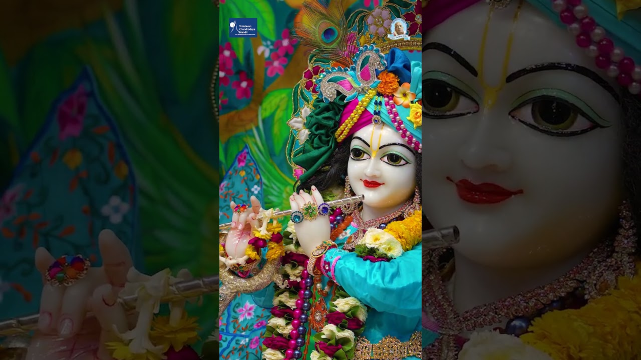 Darshans | Sri Radha Vrindavanchandra | Vrindavan Chandrodaya Mandir