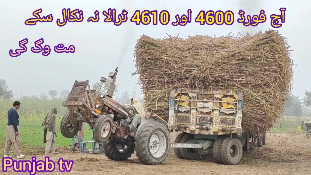 Ford 4600 Ford 4610 pulling havey loading sugarcane trailer in mud