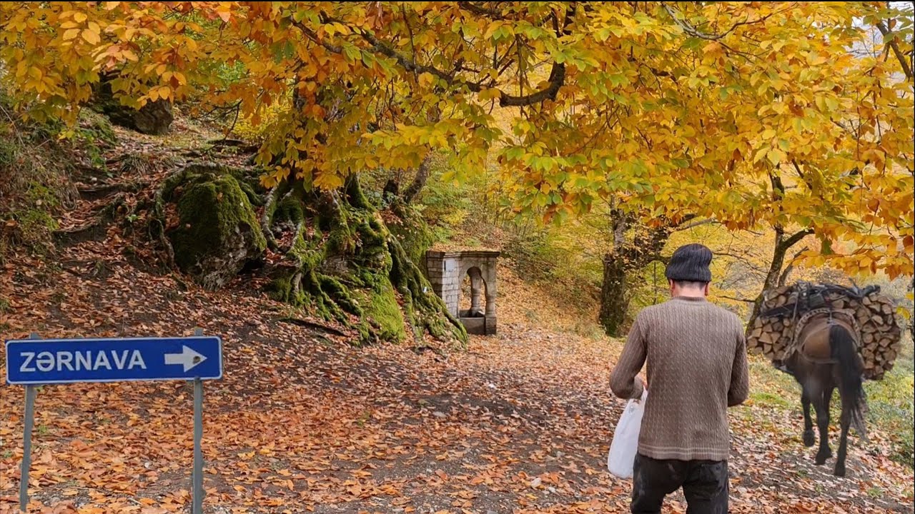 İsmayıllı rayonu. Qaraqaya kəndindən, Zərnava kəndinə kimi yol boyu çəkilən video görüntülər.