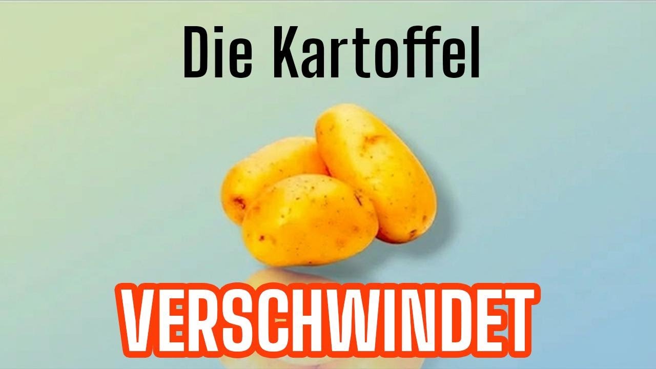 Kartoffeln vom Aussterben bedroht? So wird die Knolle gerettet – erfahre hier mehr!