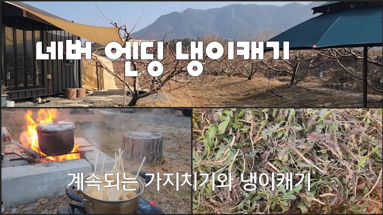 겨울농막캠핑(냉이캐기 네번째이야기)