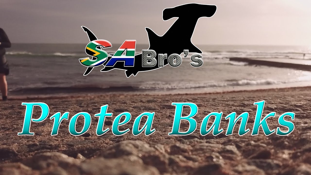 Protea Banks & Aliwal Shoal