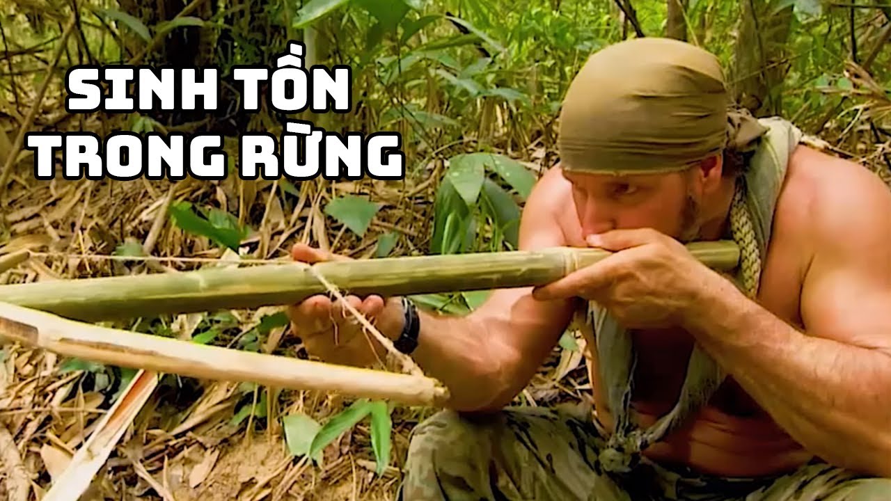 LẠC VÀO RỪNG SÂU | HÀNH TRÌNH SINH TỒN KHẮC NGHIỆT