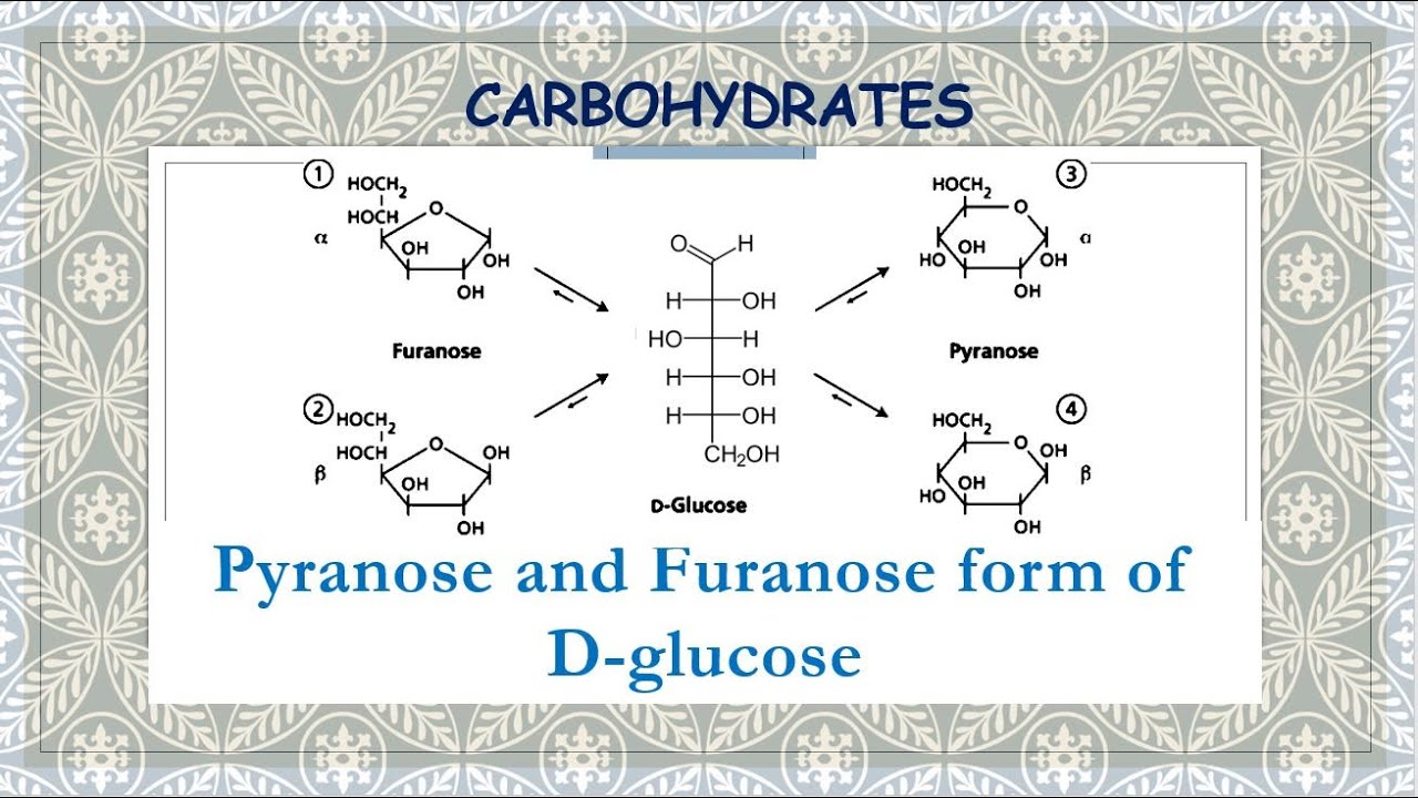 Pyranose and Furanose form of D-glucose | Orientation and formation of cyclic structures