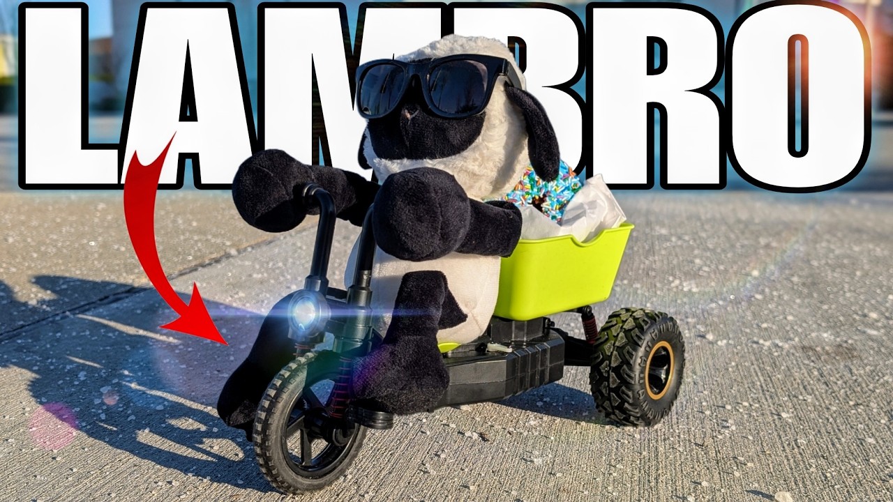 Watch This Hilarious RC Lamb Tricycle Steal My Show!