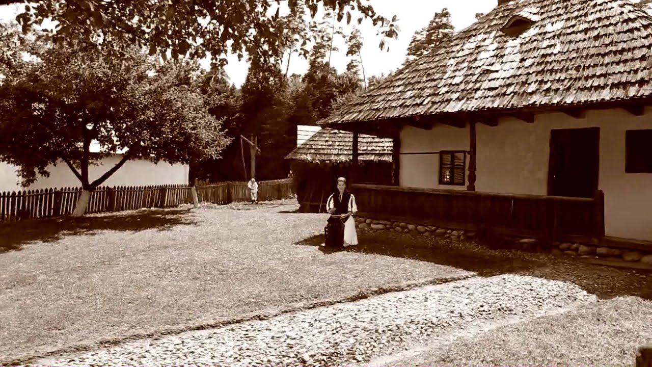 Anca Maria Marginean -  Viata unde te grabesti