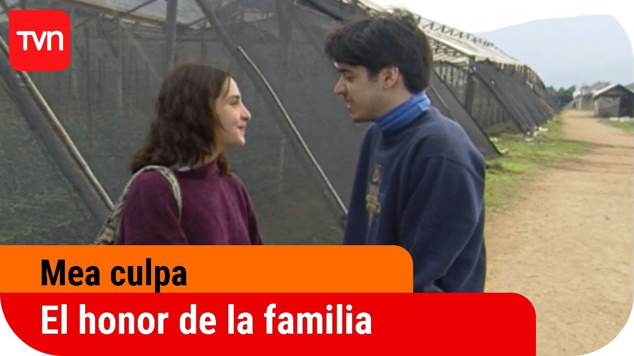 El honor de la familia - El bebé de Lucy | Mea culpa - T5E6