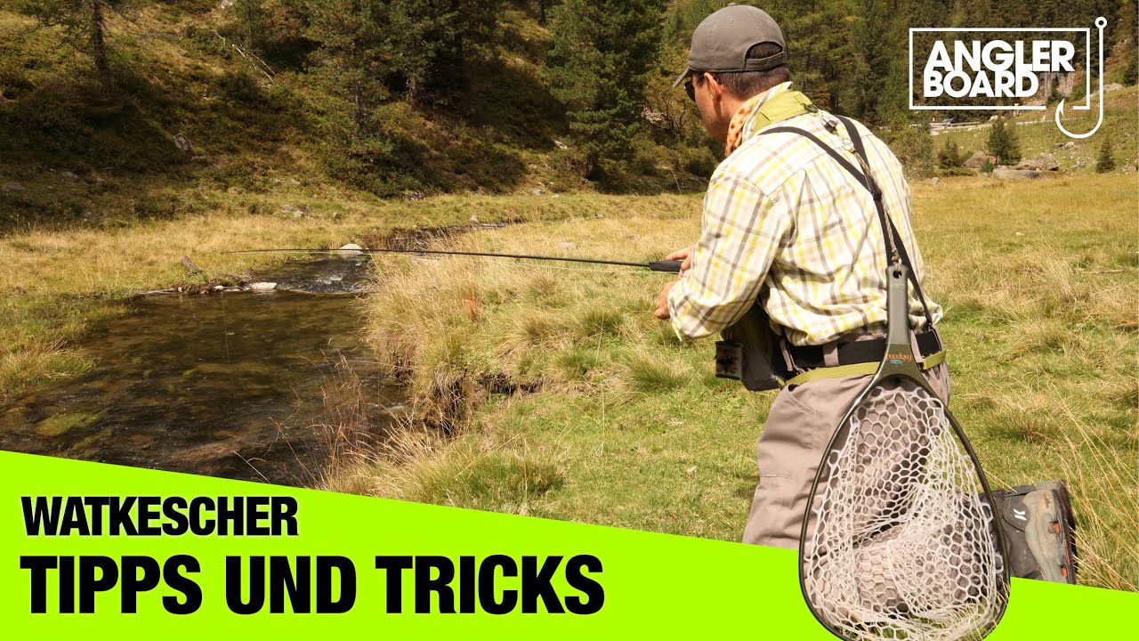 Tipps und Tricks | Watkescher und kleine Kescher | ANGLERBOARD TV