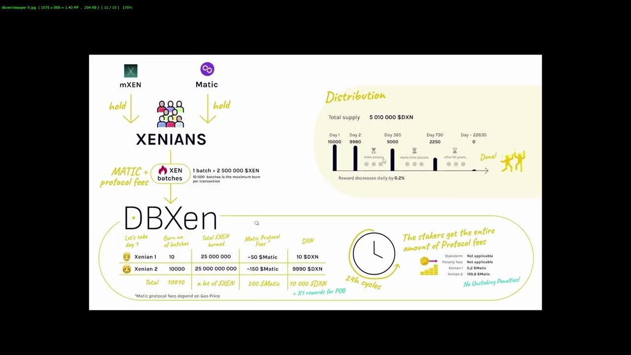 DBXen protocol walk through