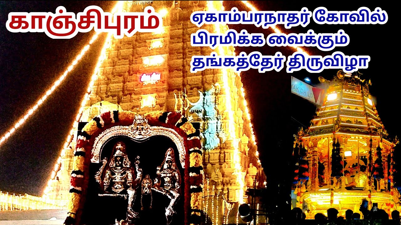 காஞ்சிபுரம் ஏகாம்பரநாதர் கோயில் தங்கத்தேர் பிரம்மாண்ட திருவிழா
