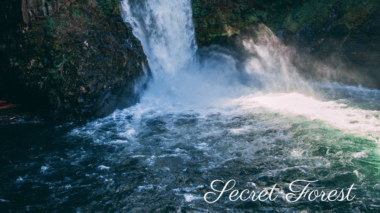 *Secret Forest Waterfall Relaxation * 2 HOURS