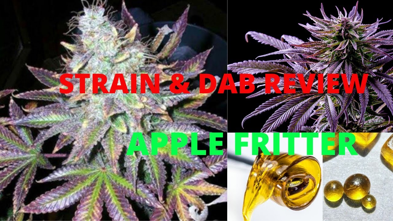 Super Weed dispensary tour