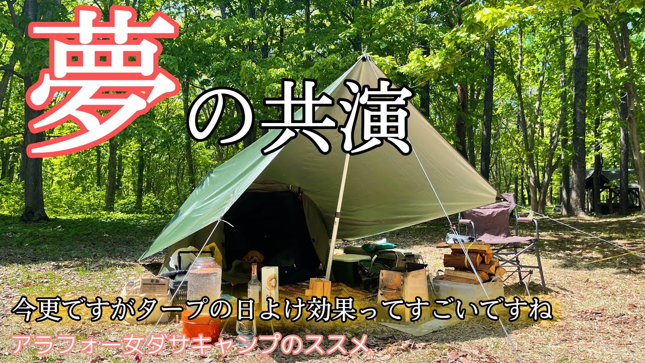 【女のキャンプ】とうとうあの、有名おばさんキャンパー様と・・・/炎天下キャンプ/MOUNTAIN CATTLE軽量テント/青森県月見野森林公園キャンプ場