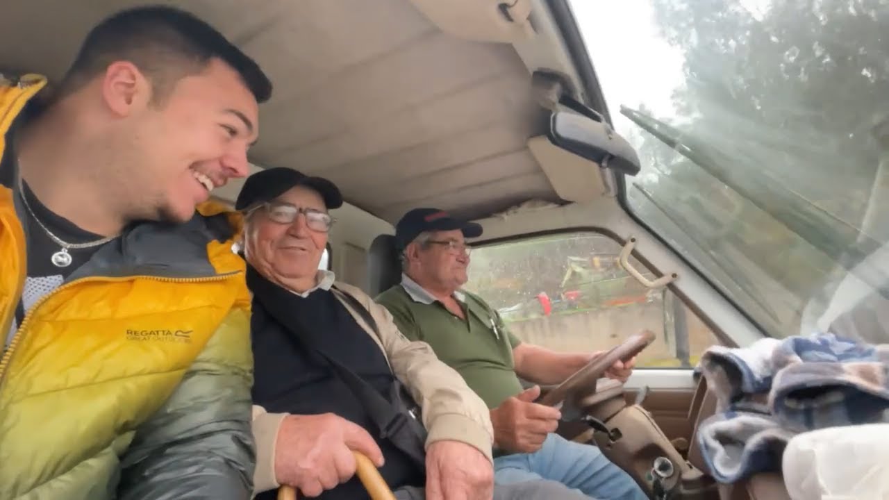 Harvesting Olives with locals in Portugal 🇵🇹
