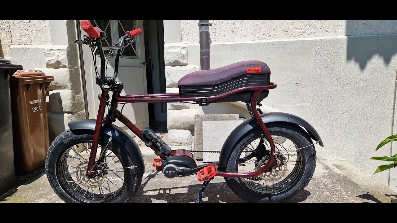 Mein Ruff Cycles "Lil Buddy" eBike absolutes Unikat!!