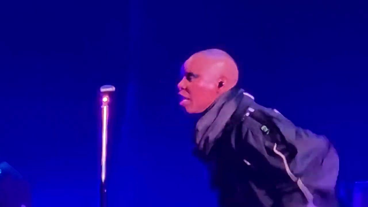 Skunk Anansie Torwar 2025