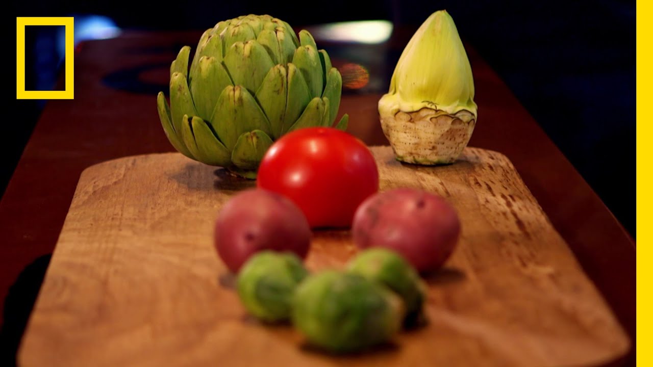 野菜を時速1200キロで発射してみた | ナショジオ