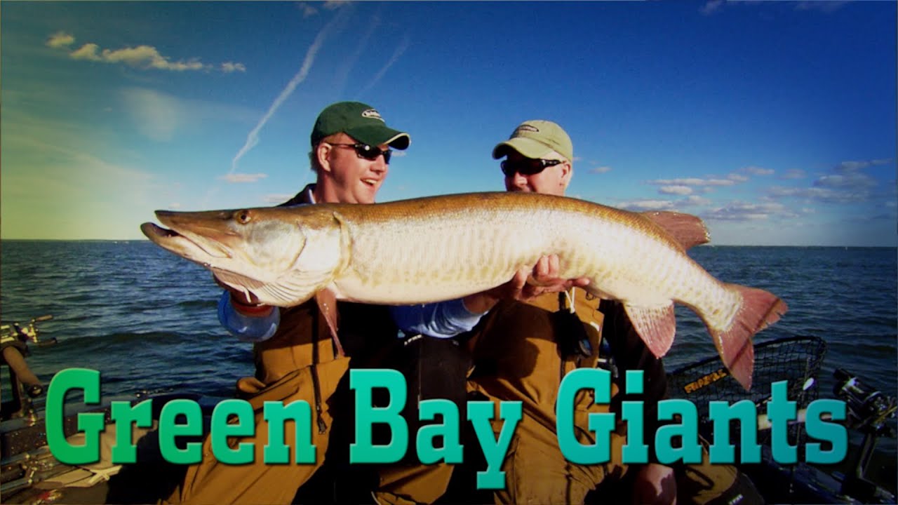Muskie Giants of Green Bay!