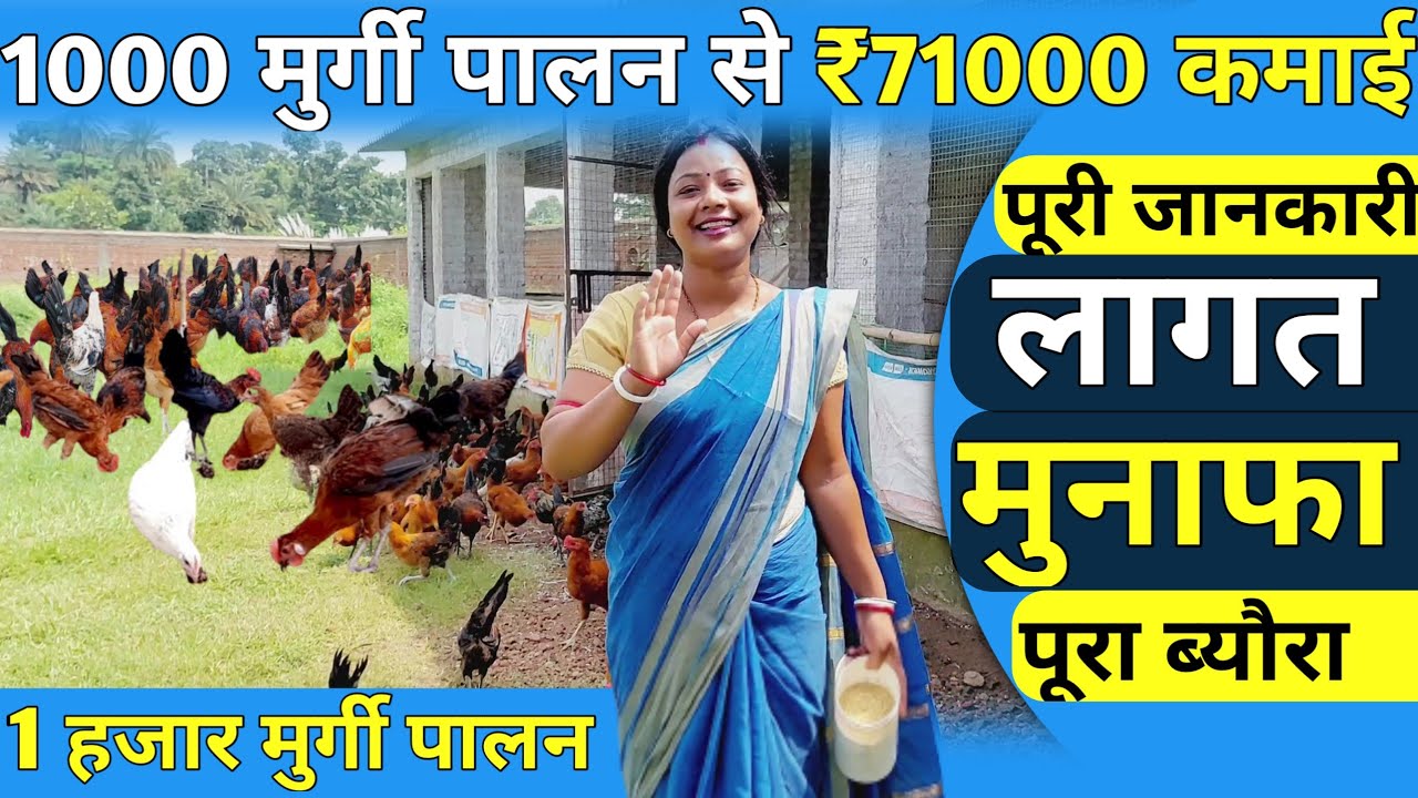 Desi Sonali Poultry Farming 70 से पचहत्तर हजार की कमाई 1000 सोनाली मुर्गी का पालन