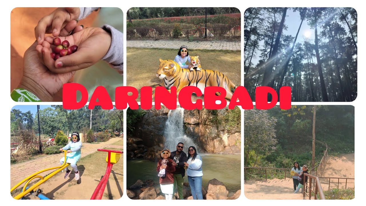 আজ দারিংবাড়িতে সারাদিন ,,,,