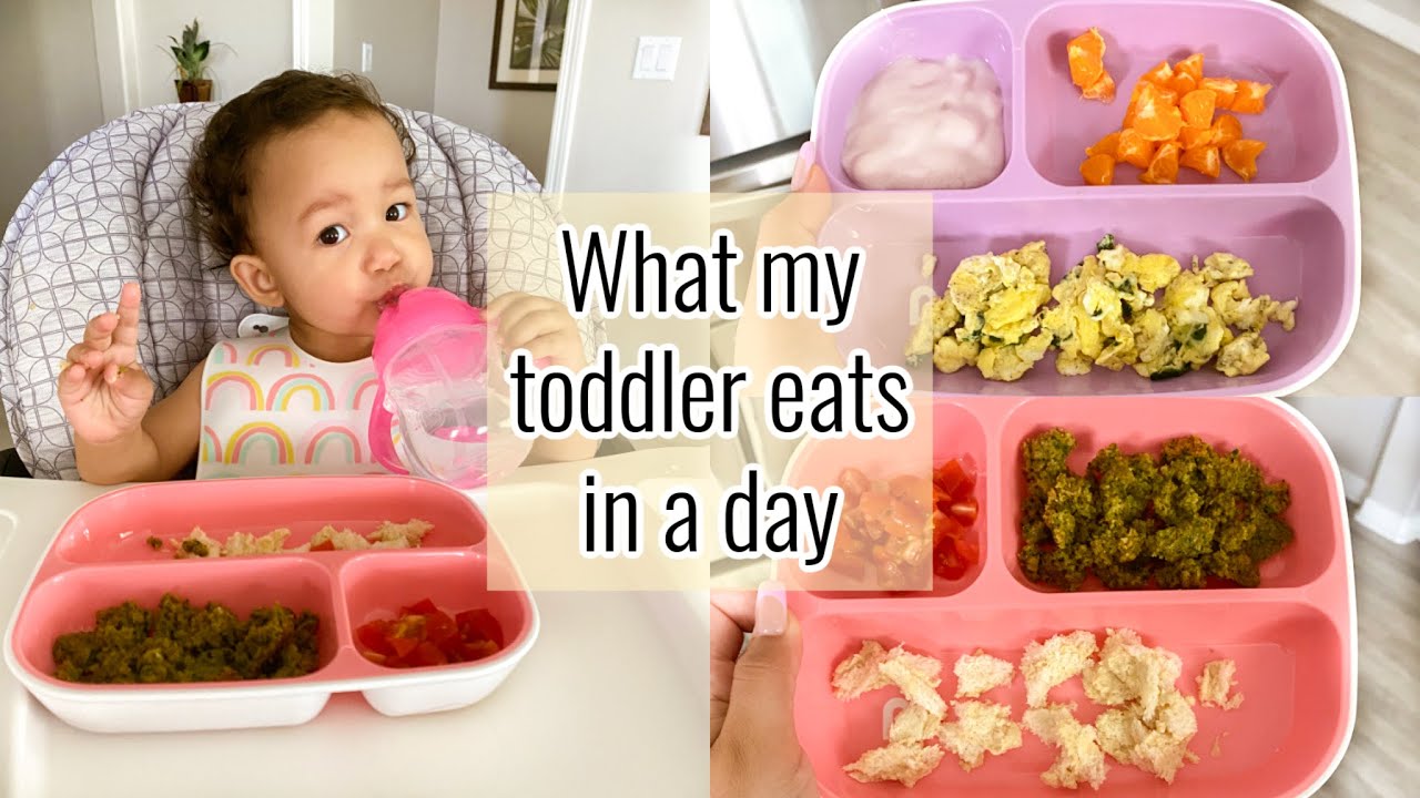 WHAT MY TODDLER EATS IN A DAY || 15 month old || Toddler Meal Ideas