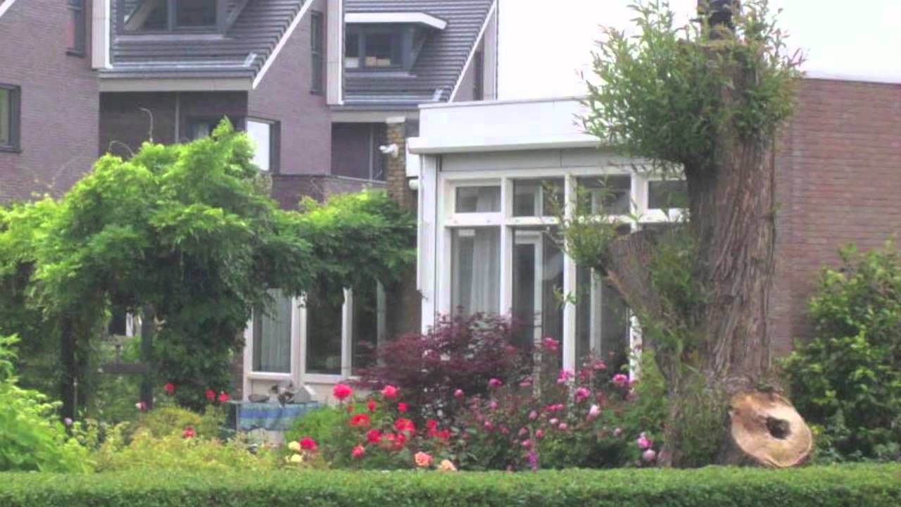 Haagse Herinneringen - Marianne du Pré - De Veenweg verhuisd van platteland naar stad