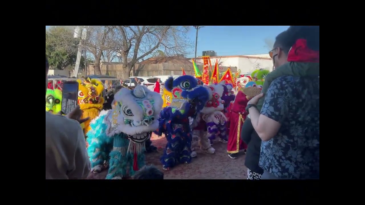 Last lion dance of the day for Huyên Quang at US BIDA. #liondance #lunarnewyear #2026 #trending 
