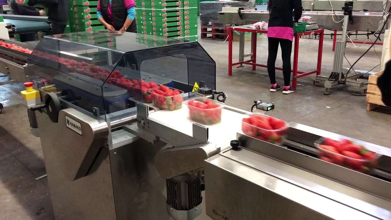 Conditionnement FRAISE Diverter + Flowpack