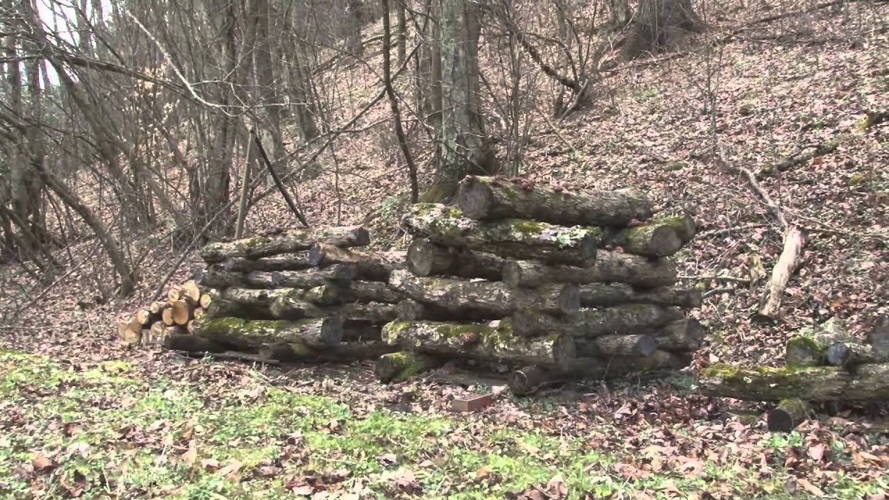 Shiitake Mushrooms
