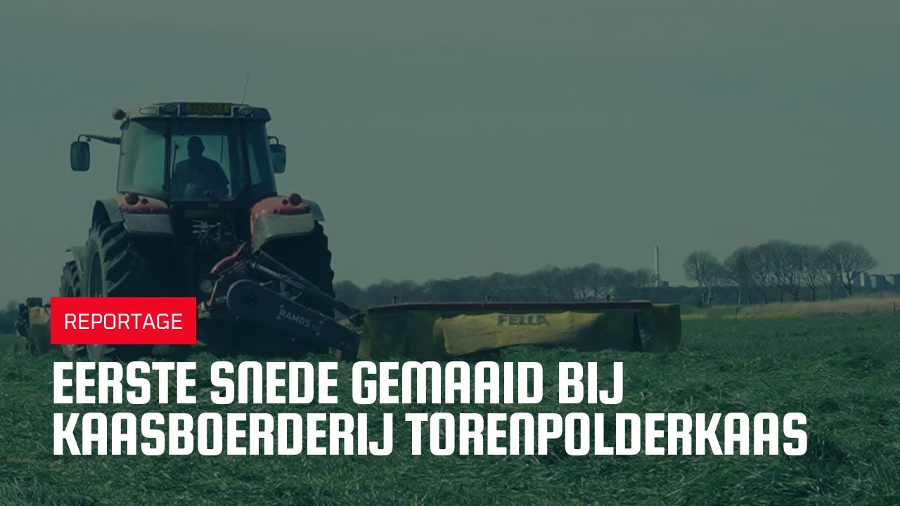 Eerste snede gras gemaaid bij kaasboerderij Torenpolderkaas
