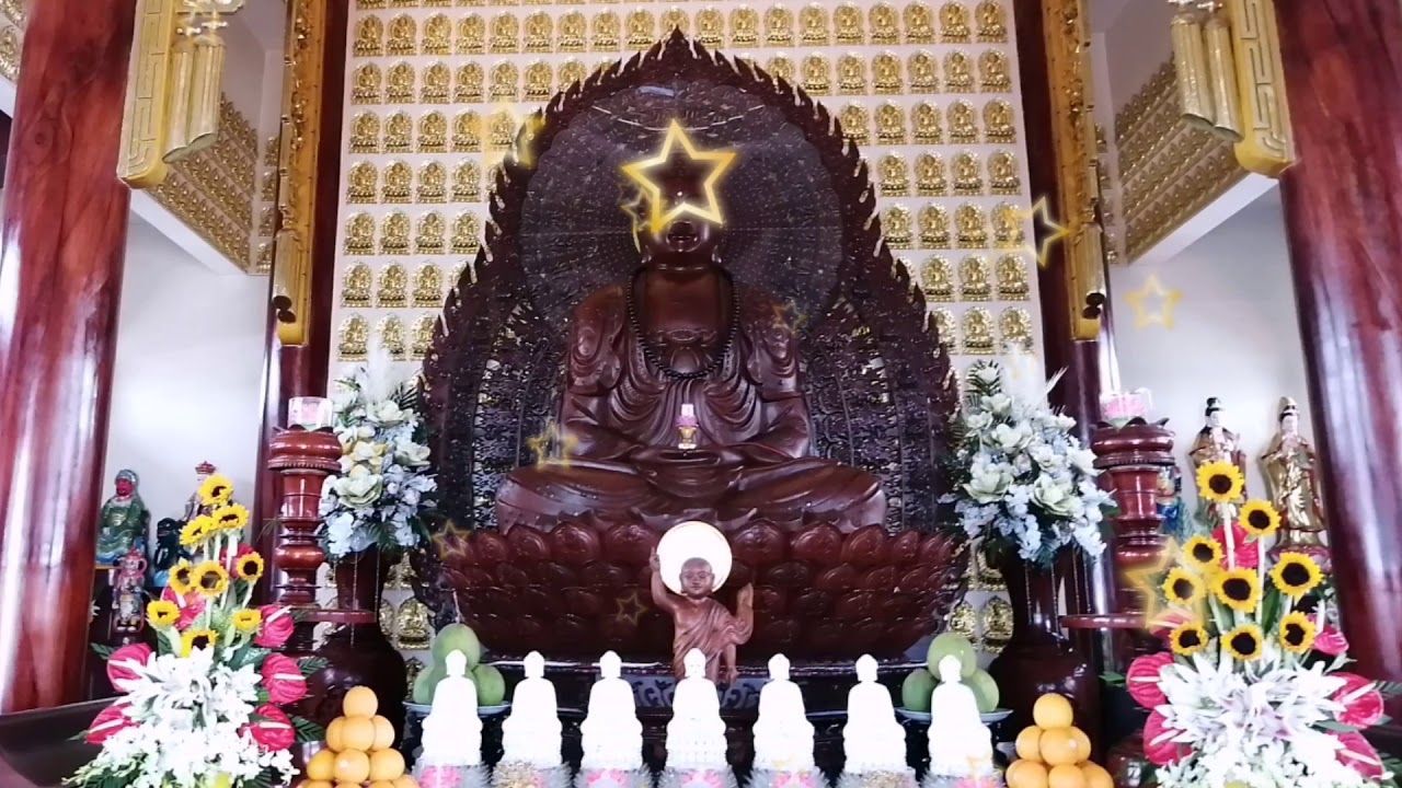 #10 NGUYỆN VỀ CÕI PHẬT_Thích Phước Bảo _trì tụng ( nghe mà thấm từng lời ).