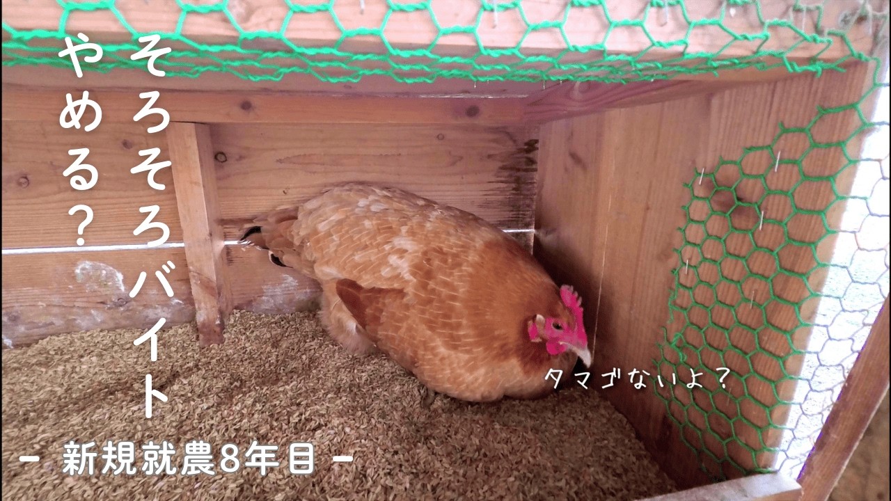 農業の大変なところ／1日農業バイトアプリdayworkのこと【つちのうえ日記 ＃7】