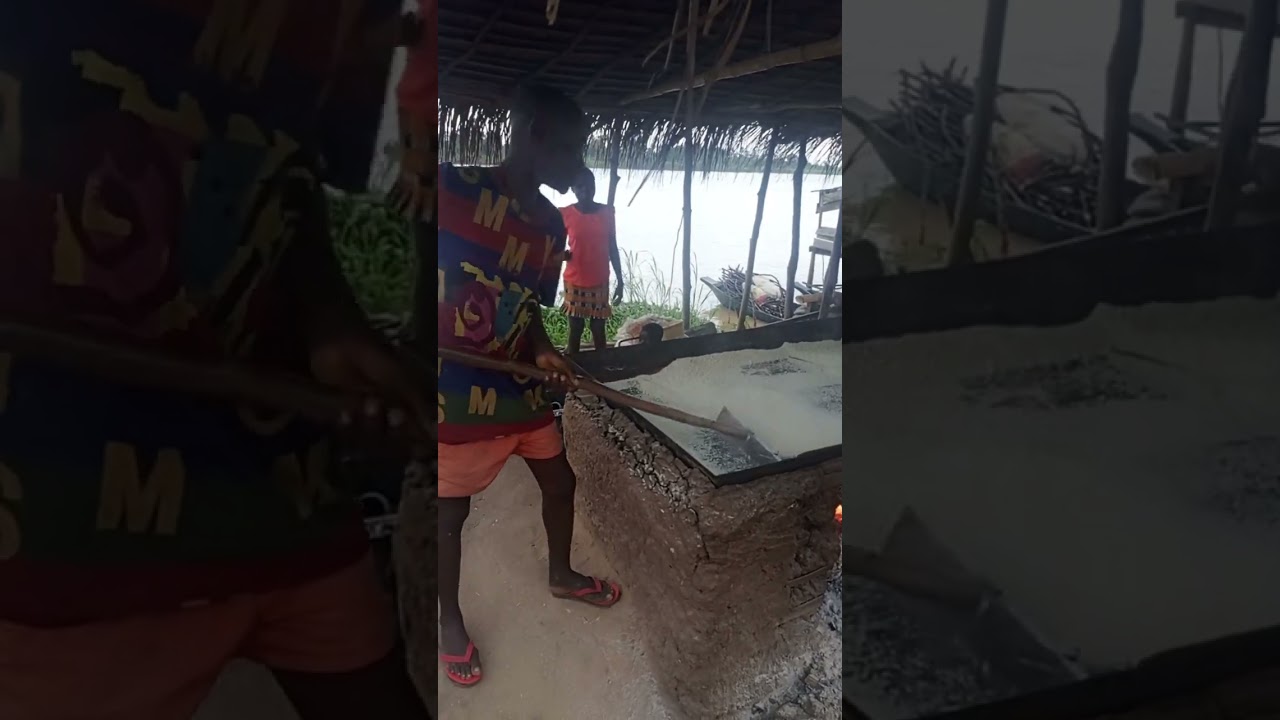 this is how cassava flake popularly known as garri is made