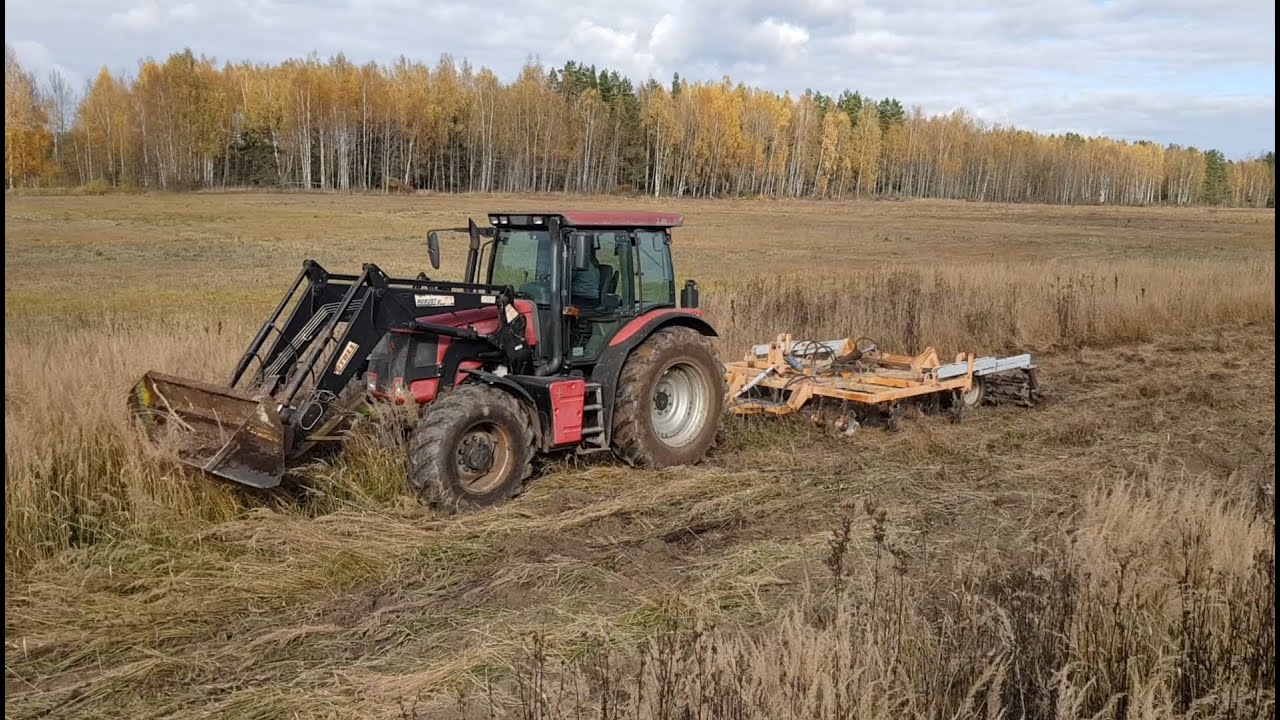Разработка заброшенного поля / деревья убраны - пускаем дискаторы / Кировец и МТЗ в деле. За Русь !