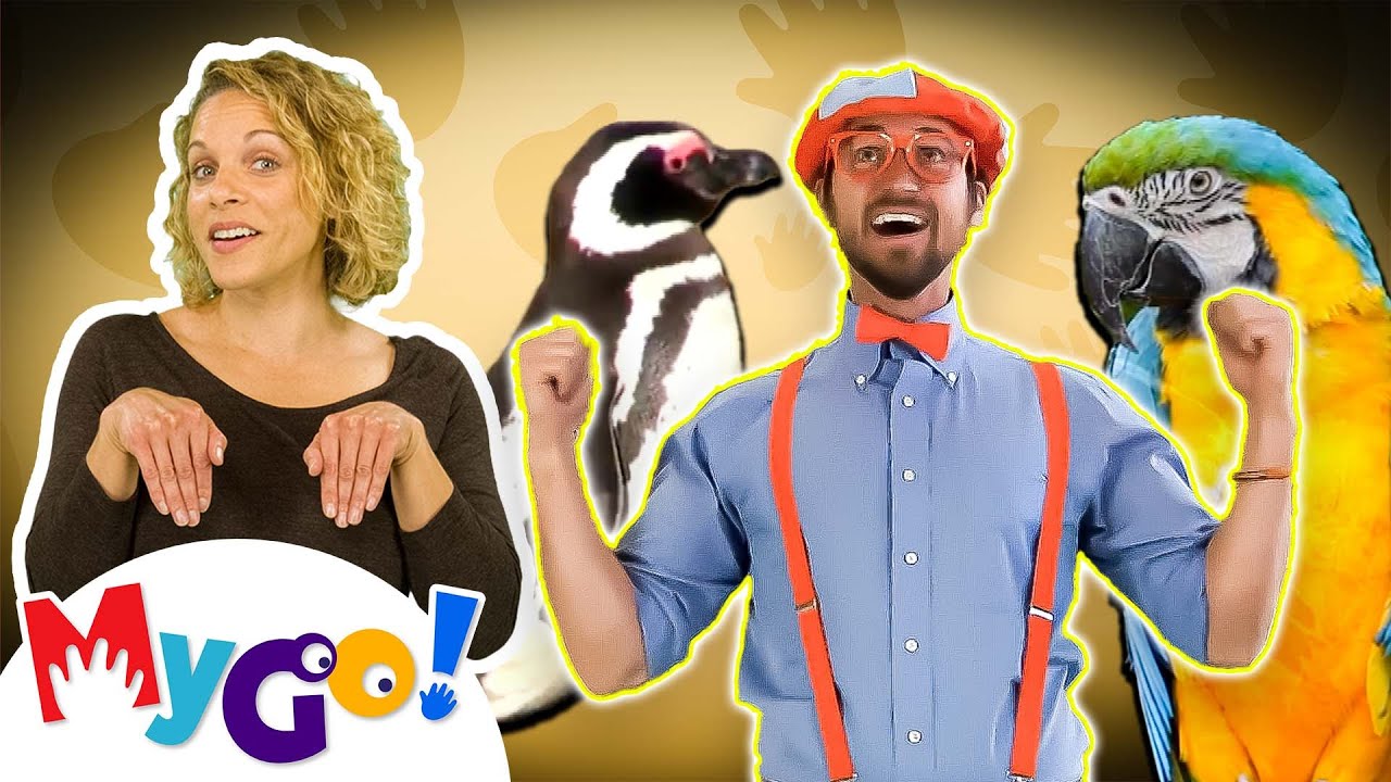Sing About Zoo Animals with Blippi! | MyGo! Sign Language for Kids | Educational Videos