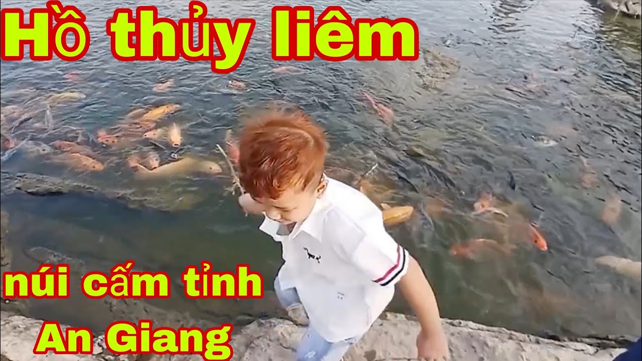 Ngày mùng 1 Tết tại hồ Thủy Liêm Núi Cấm khu du lịch Tâm Linh tỉnh An Giang