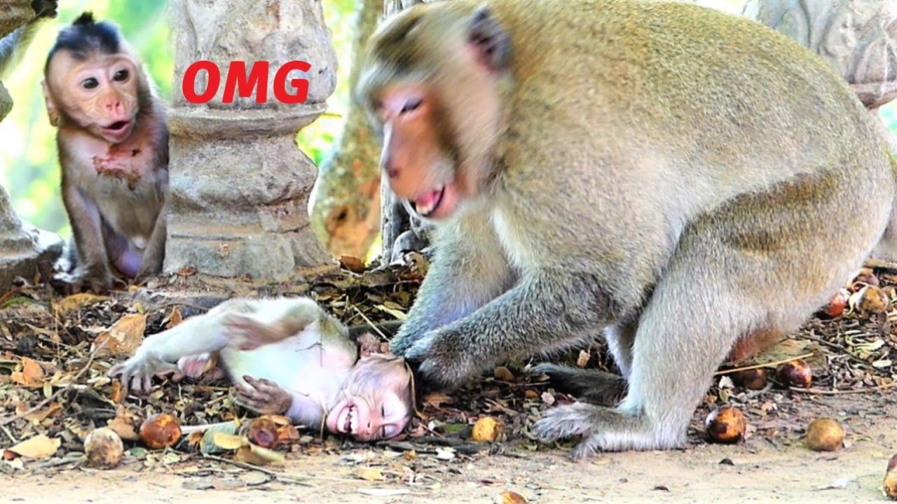 How This Tiny Baby Get Scary Is!, Heart Nearly Breaking Into Many Parts To See Papa Does Like This