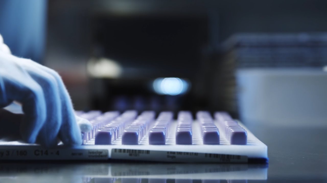 Production of Glass-Ceramic CAD/CAM Blocks