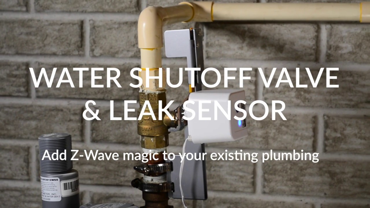 Dome: Water Main Shut-off Valve and Leak Sensor Introduction