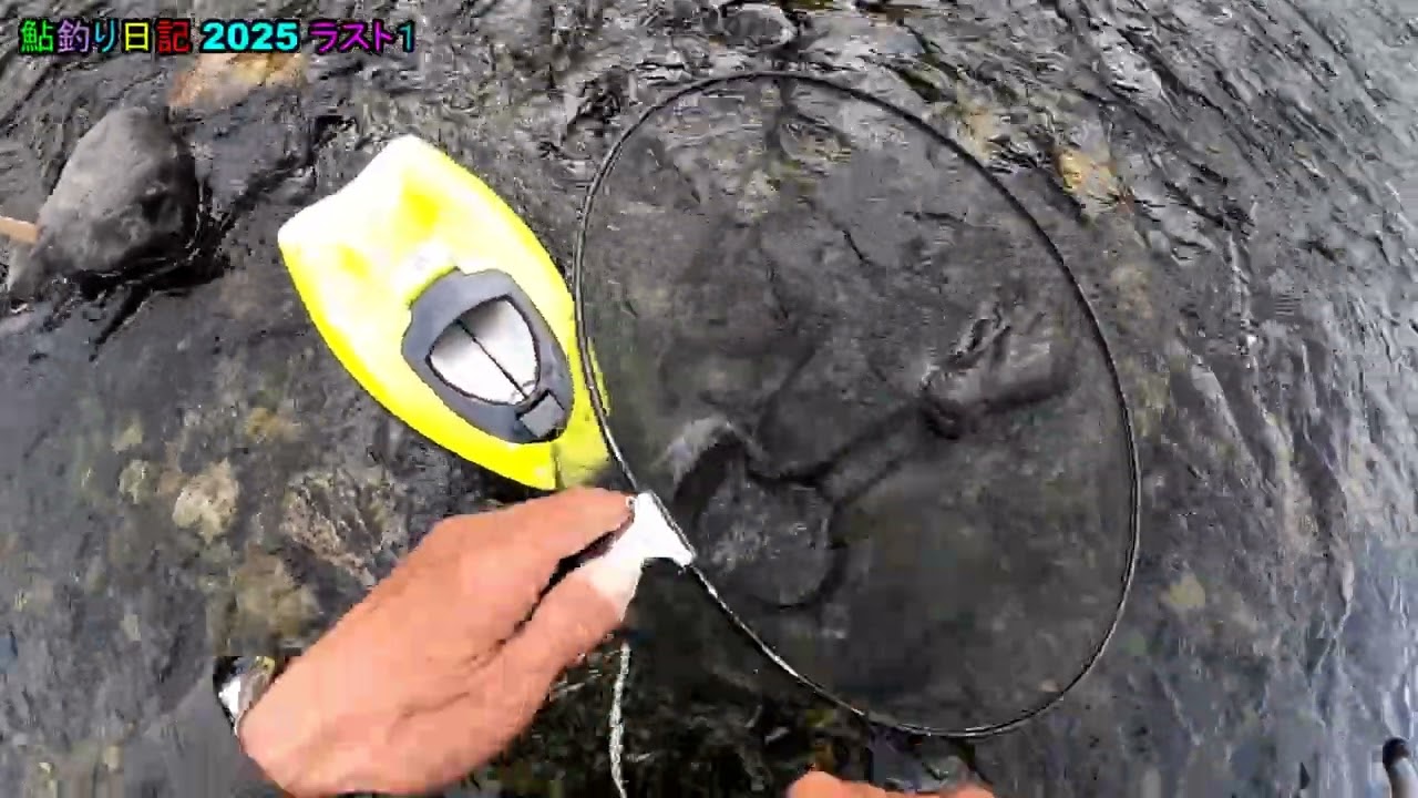 鮎釣り日記 25 9 29