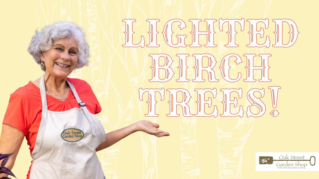 Lighted Birch Tree Decorations!