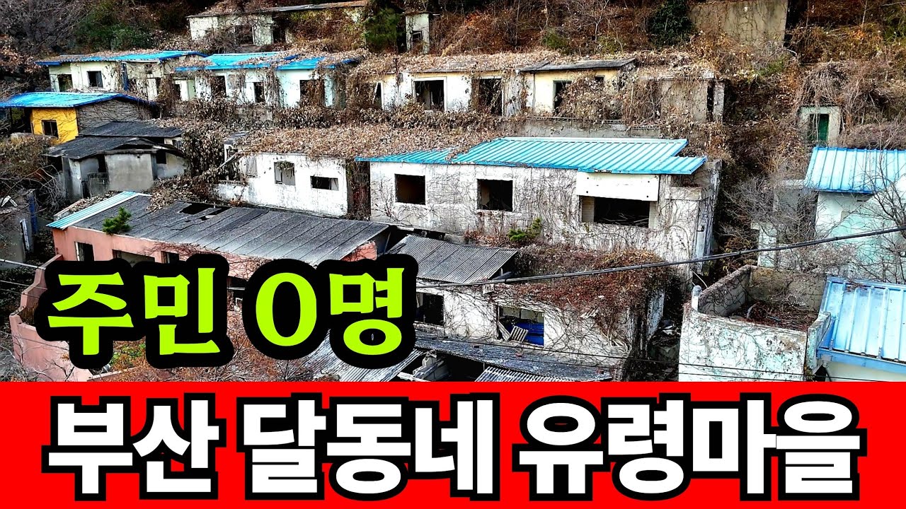 사람 없는 부산 달동네 유령마을