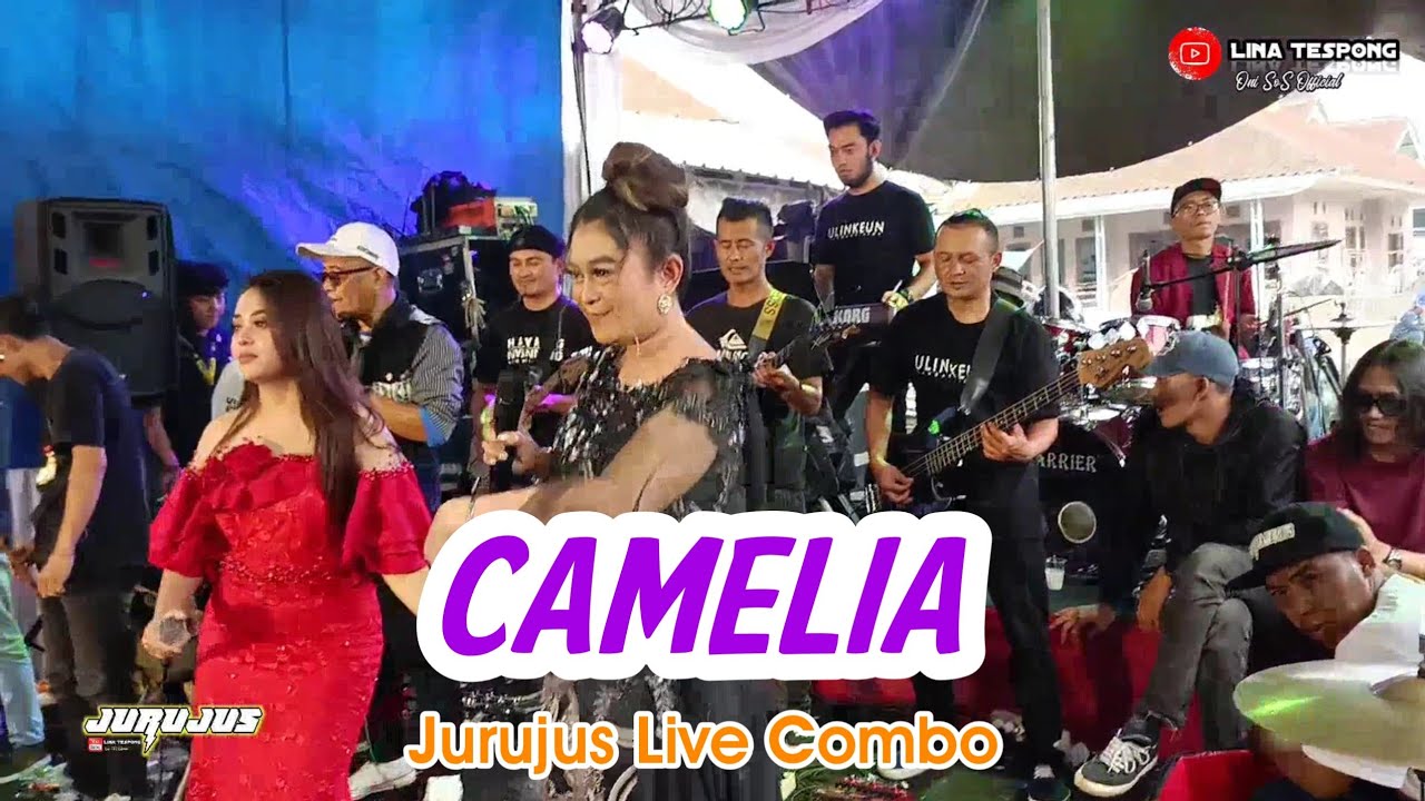 CAMELIA JURUJUS COMBO LIVE CIKAREUMBI